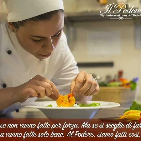 Agriturismo Il Podere Farm stay Petrignano