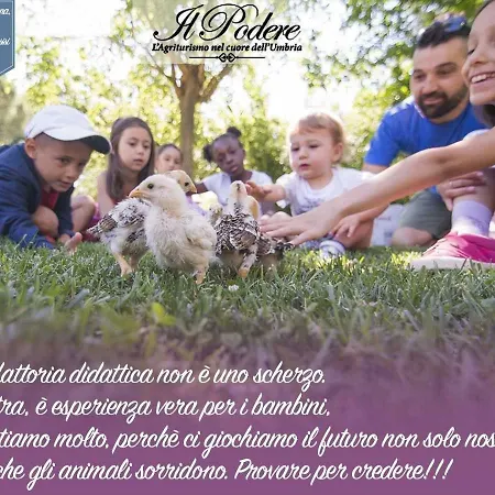 Agriturismo Il Podere *