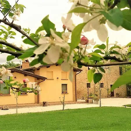 Agriturismo Il Podere Farm stay Petrignano