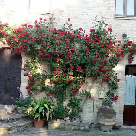 Agriturismo Il Podere Farm stay Petrignano