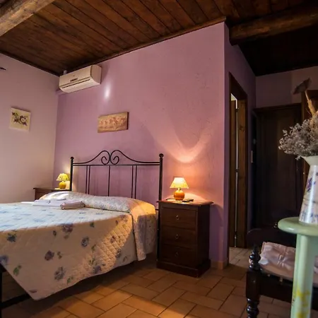 Farm stay Agriturismo Il Podere